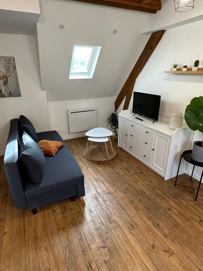 Superbe Appartement Mansarde Avec Mezzanine - Proche Centre Ville, Thermes, Aquensis Bagnères-de-Bigorre Esterno foto